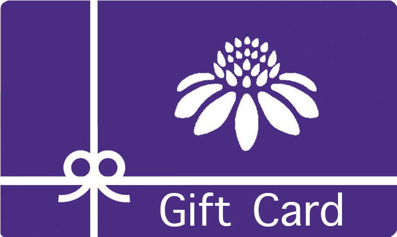Gift Card - Gift Card - African Daisy (800x720), Png Download