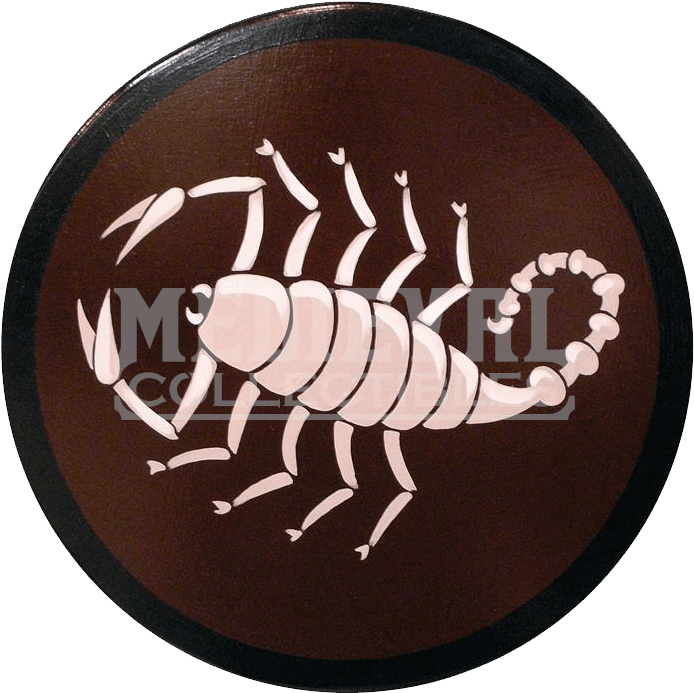 Scorpion (767x767), Png Download