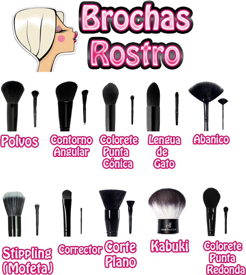 Uso De Las Diferentes Brochas De Maquillaje - Elf Kabuki (1000x1000), Png Download