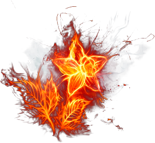 Related Wallpapers - Fire Flower (669x575), Png Download