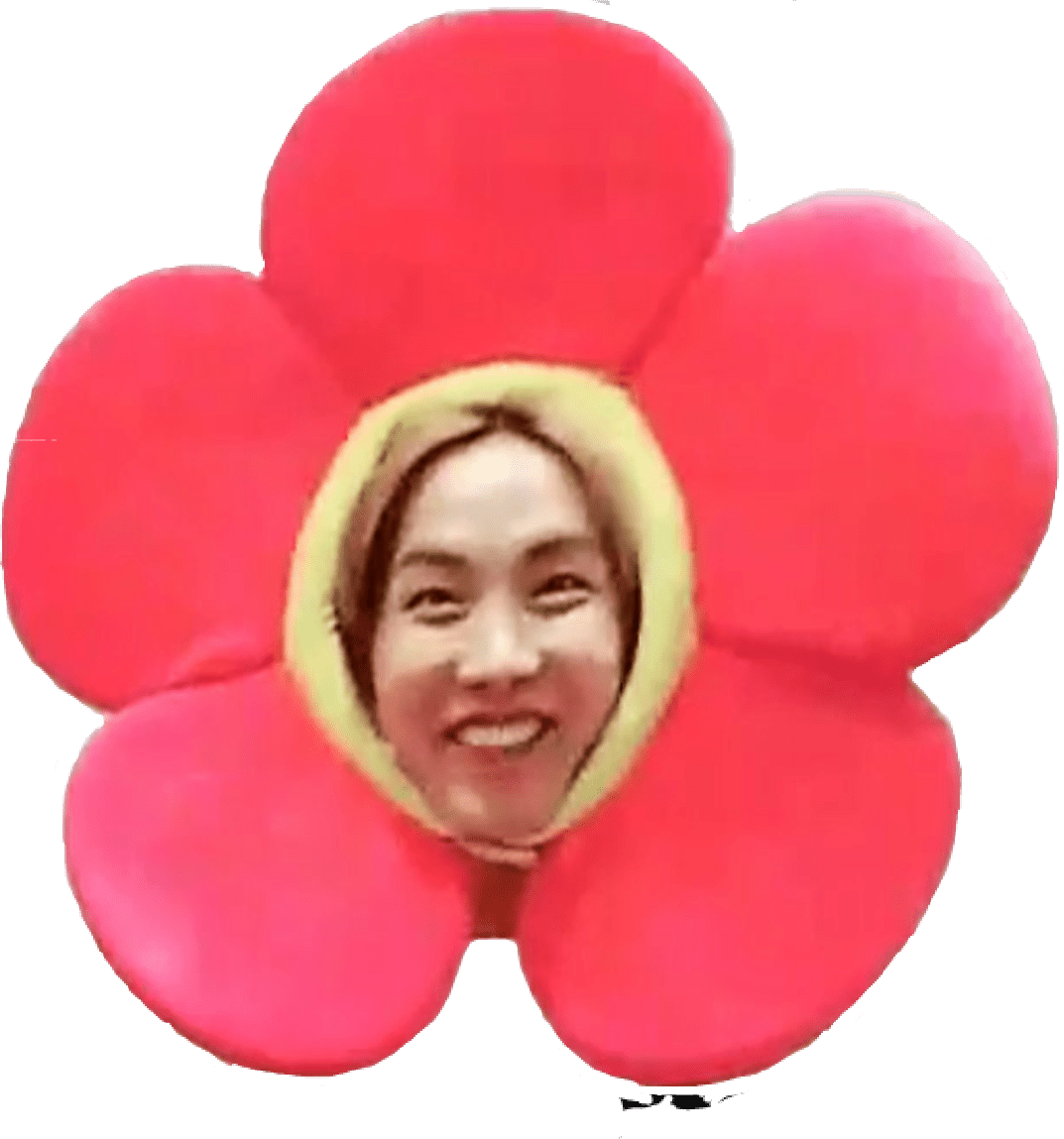 Jhope Flower Bts Jhopebts Jflowers Edit Funny - Bts Jhope Stickers Png (1073x1149), Png Download
