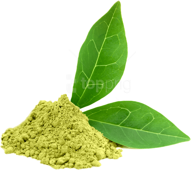 Free Png Download Green Tea Png Images Background Png - Greentea Extract (850x761), Png Download
