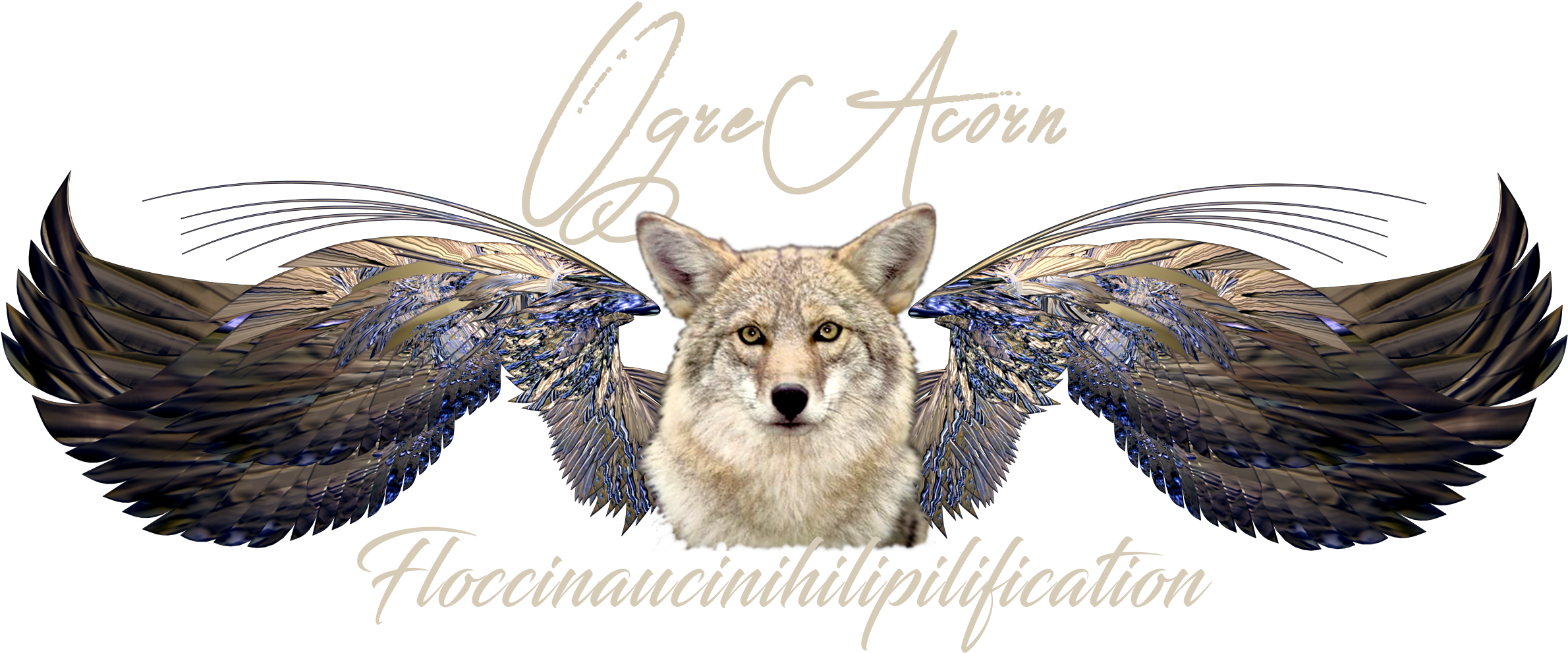 Coyote (2403x1000), Png Download