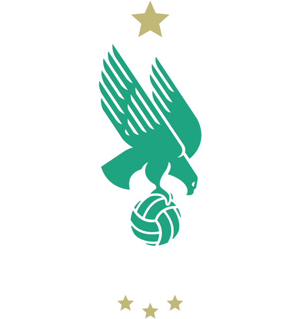 Raja Club Athletic - Raja Club Athletic Logo (805x707), Png Download