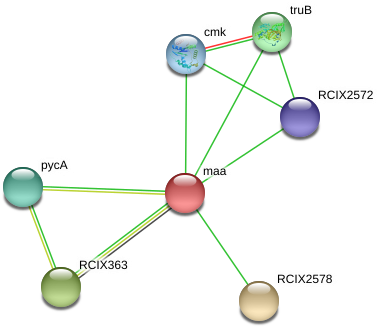 Diagram (975x364), Png Download