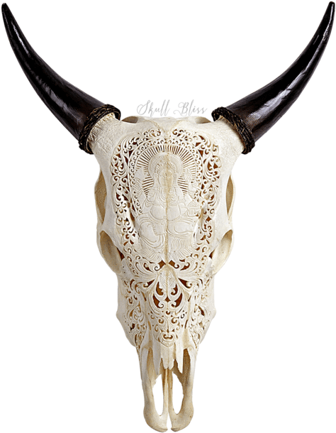 Carved Cow Skull - Horn (645x645), Png Download
