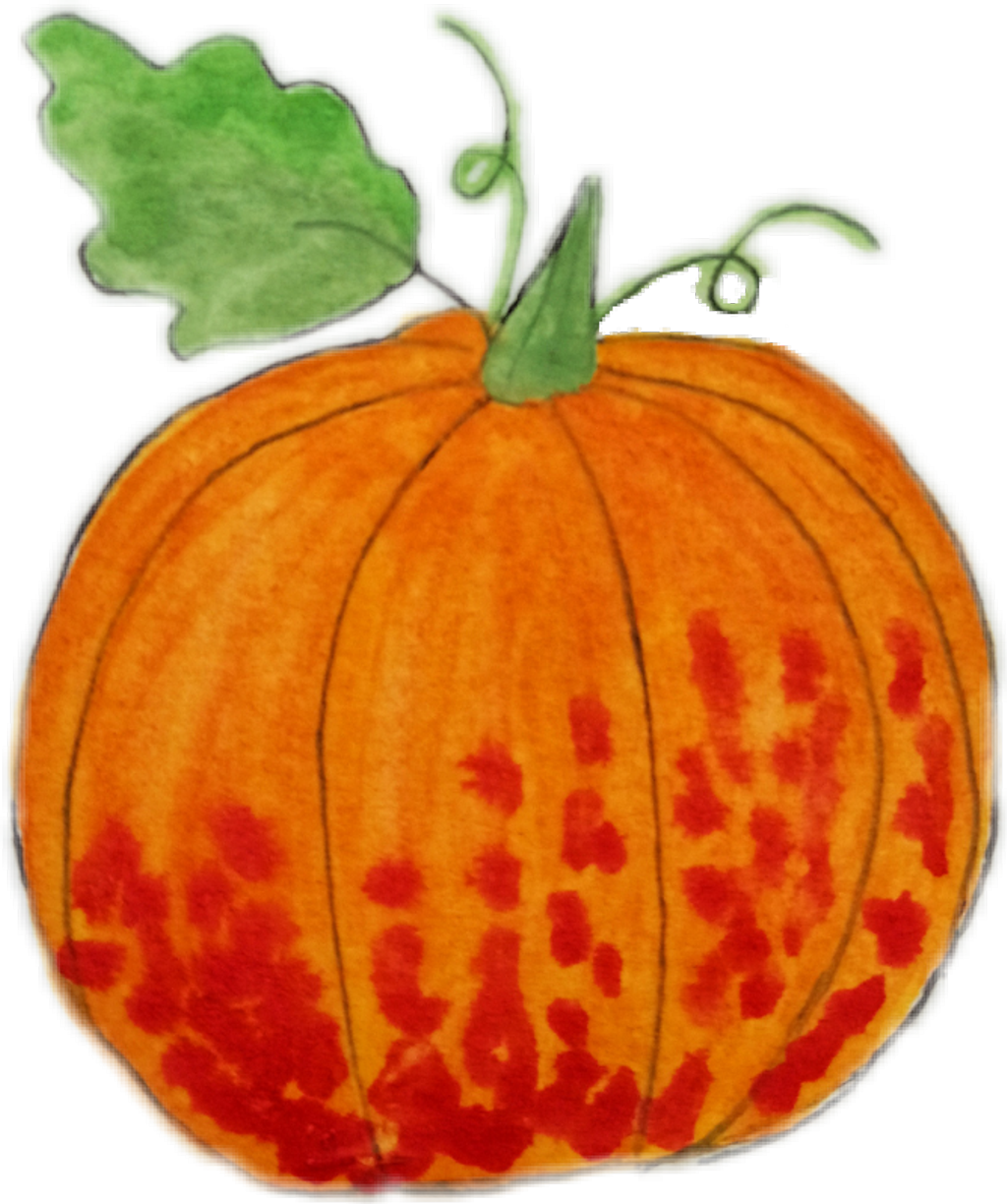 Pumpkin Halloween Autumn Vegetables Vege - Pumpkin (1024x1224), Png Download