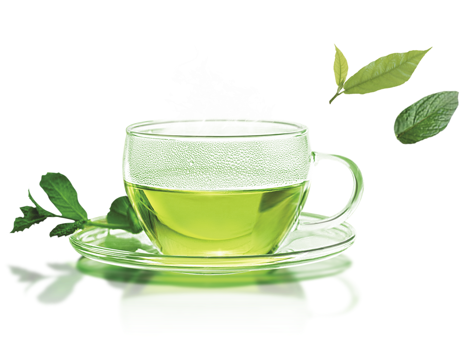 Green Tea Transparent Images - Green Tea Png (1500x1182), Png Download