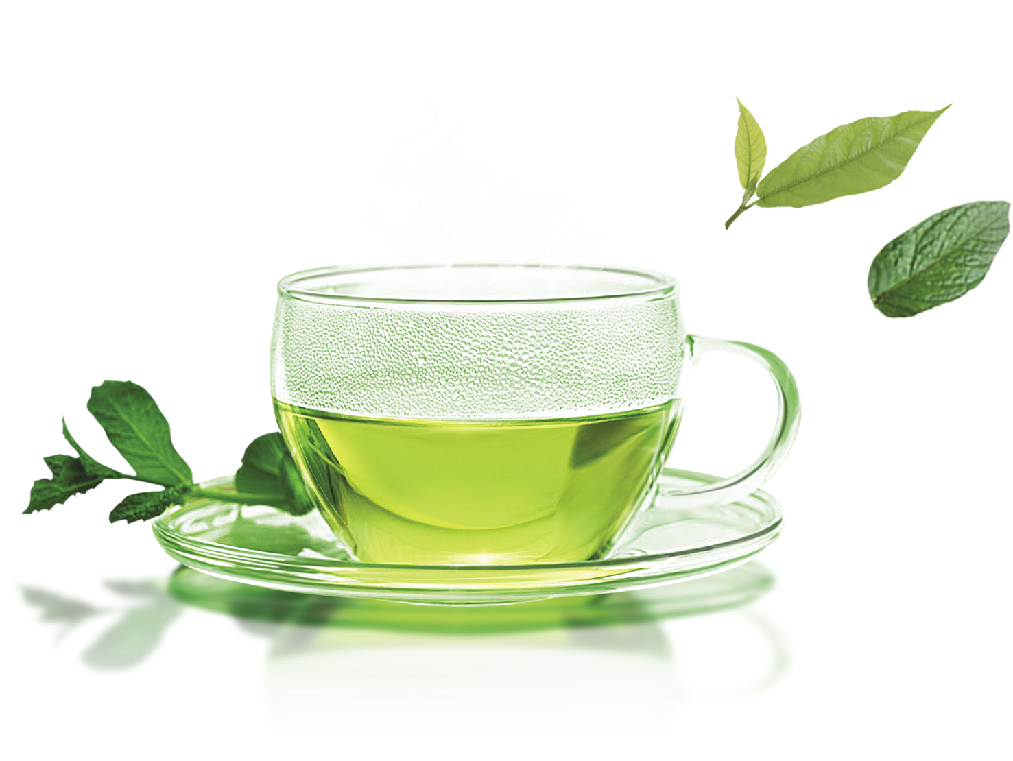 Download Green Tea Transparent Images Green Tea Png Png Image With No Background Pngkey Com