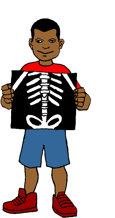Xray Clipart - X Ray Clipart Png (468x745), Png Download