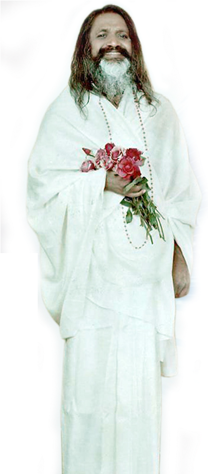 A Disciple Of His Divinity Swami Brahmananda Saraswati, - Cut Flowers (424x943), Png Download