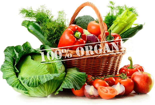 Finest Natural Foods - Intr Un Corp Sanatos Minte Sanatoasa (663x480), Png Download