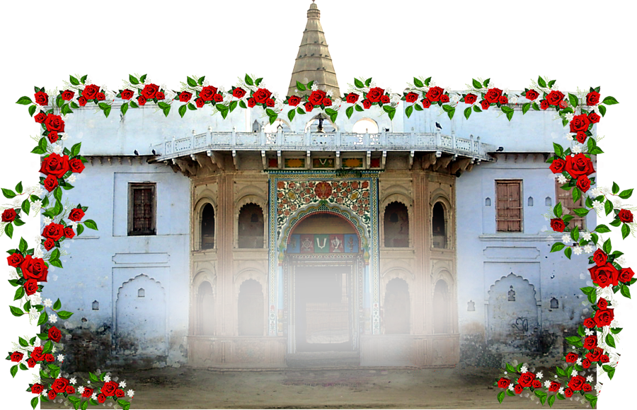 Mandir - Garden Roses (900x580), Png Download