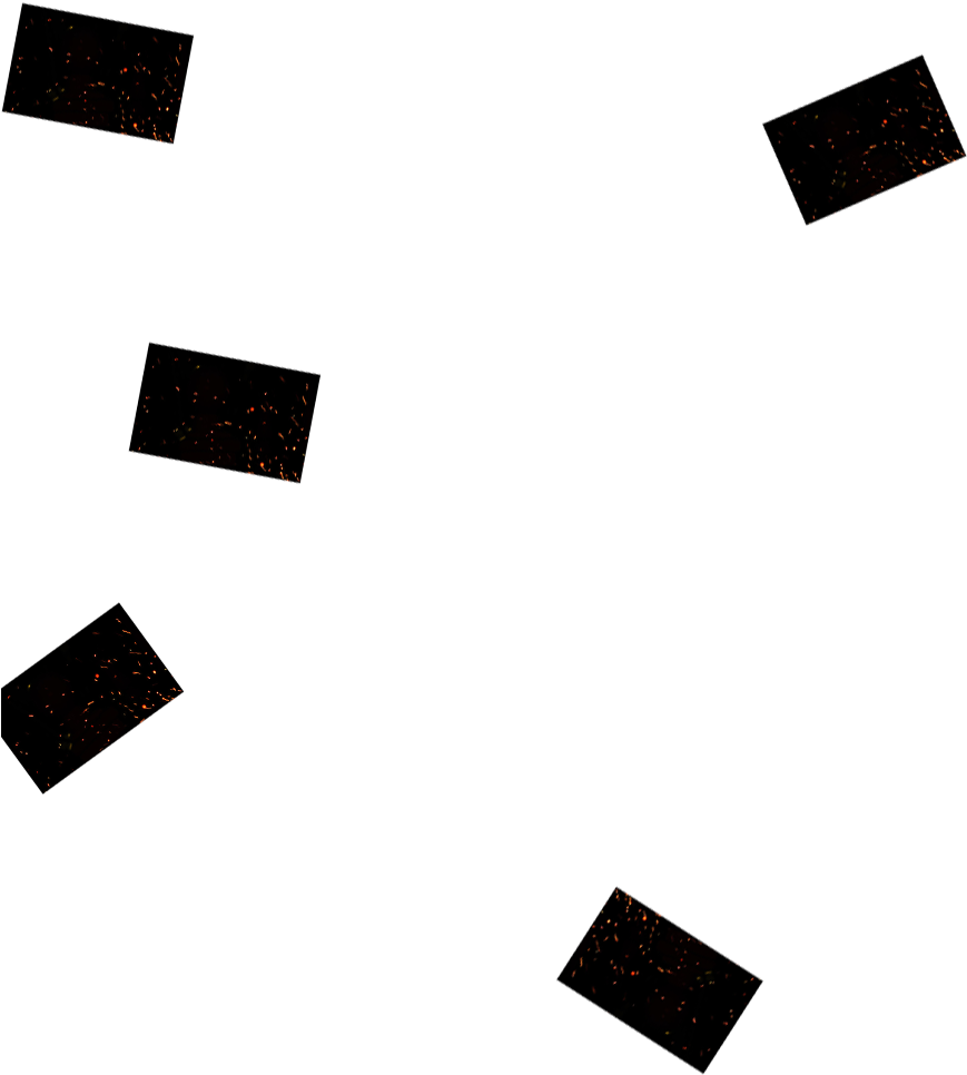 2 Method Movie Poster Background Download - Parallel (1080x1350), Png Download