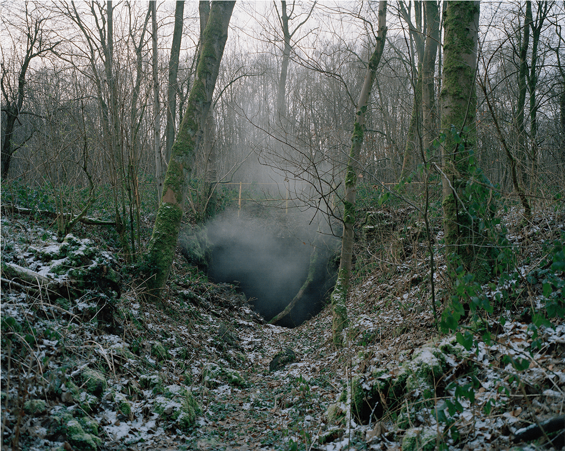 Maxime Brygo / Pavillons Et Totems - Old-growth Forest (1440x900), Png Download