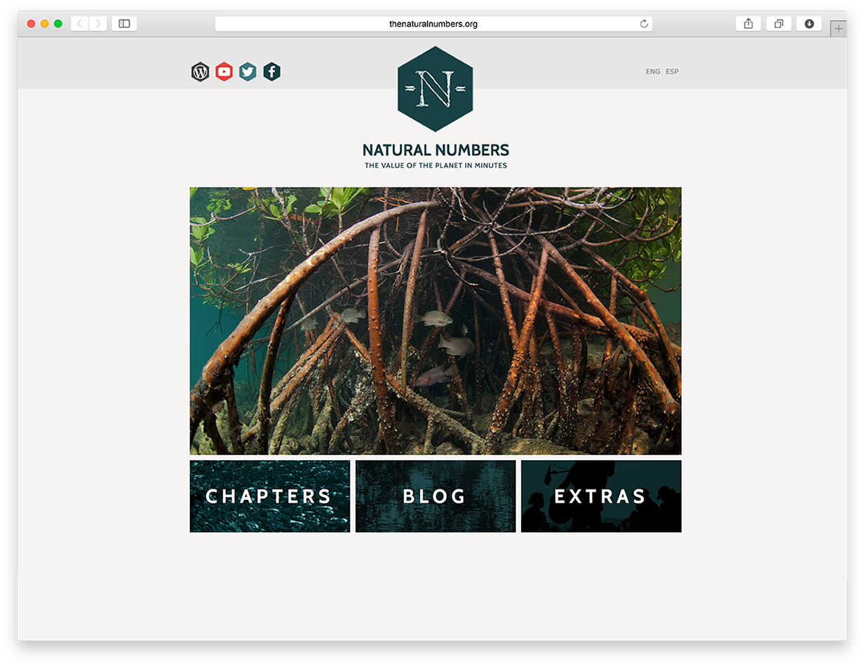 The Natural Numbers - Tree (1920x1080), Png Download