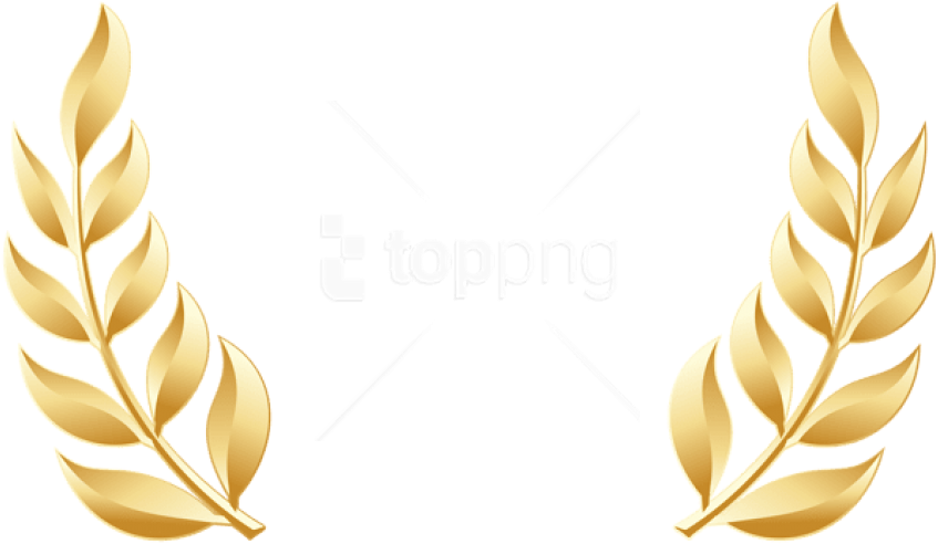 Download Free Png Download Golden Laurel Leaves Transparent Gold Leaves Transparent Background Png Image With No Background Pngkey Com Download Free Png Download Golden Laurel Leaves Transparent Gold Leaves Transparent Background Png Image With No Background Pngkey Com