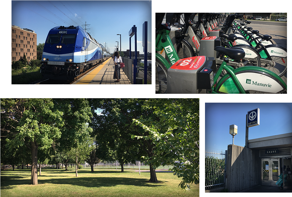 Train Metro Velo Aldea Ahuntsic - Tree (1000x667), Png Download