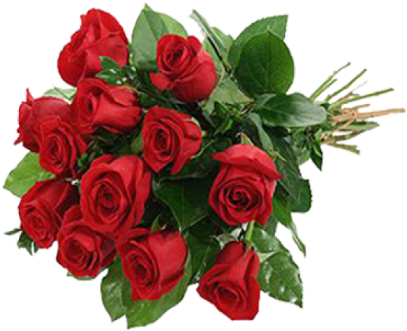 Love Potion Flowers Bunch - Roses With Bear (800x1000), Png Download