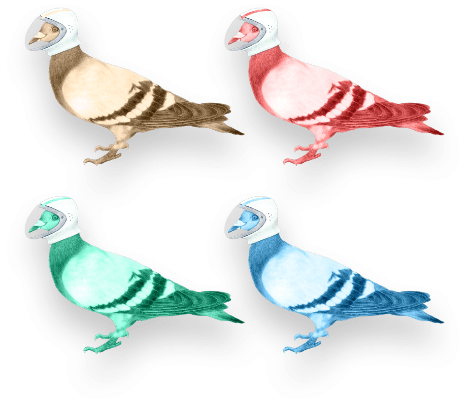 Your Digital Partners In Crime - Pigeons And Doves (924x795), Png Download