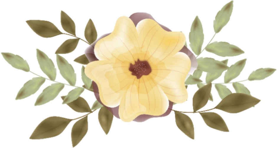 #bloom #flower #frame #border #flowers #white #bouquet - Rosa Canina (1024x1024), Png Download