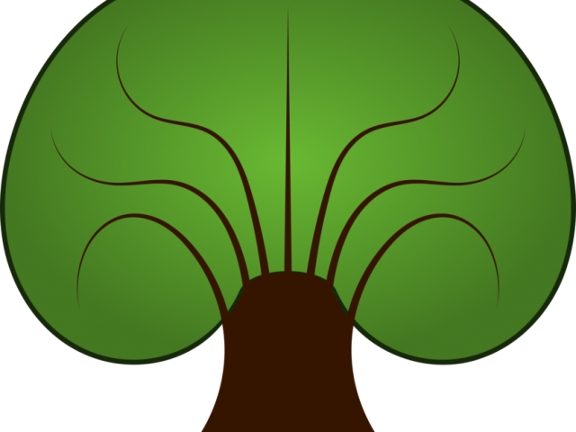 Roots Clipart Animated Tree - Gateway International School (640x480), Png Download