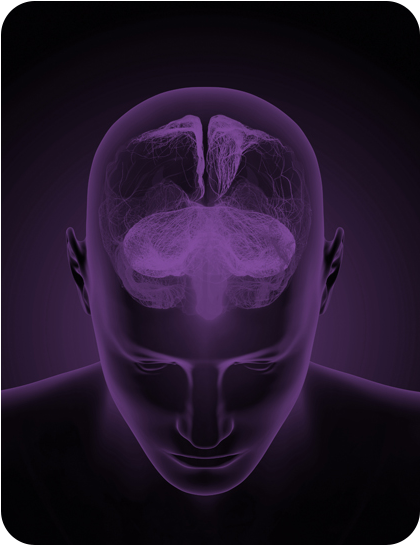 The New Science Of Goal Achievement In This Video Training - Smile (500x625), Png Download