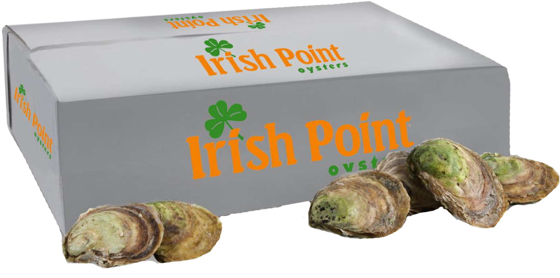 Irish Point Oysters Crassostrea Virginica - Irish Point Oysters (1908x972), Png Download