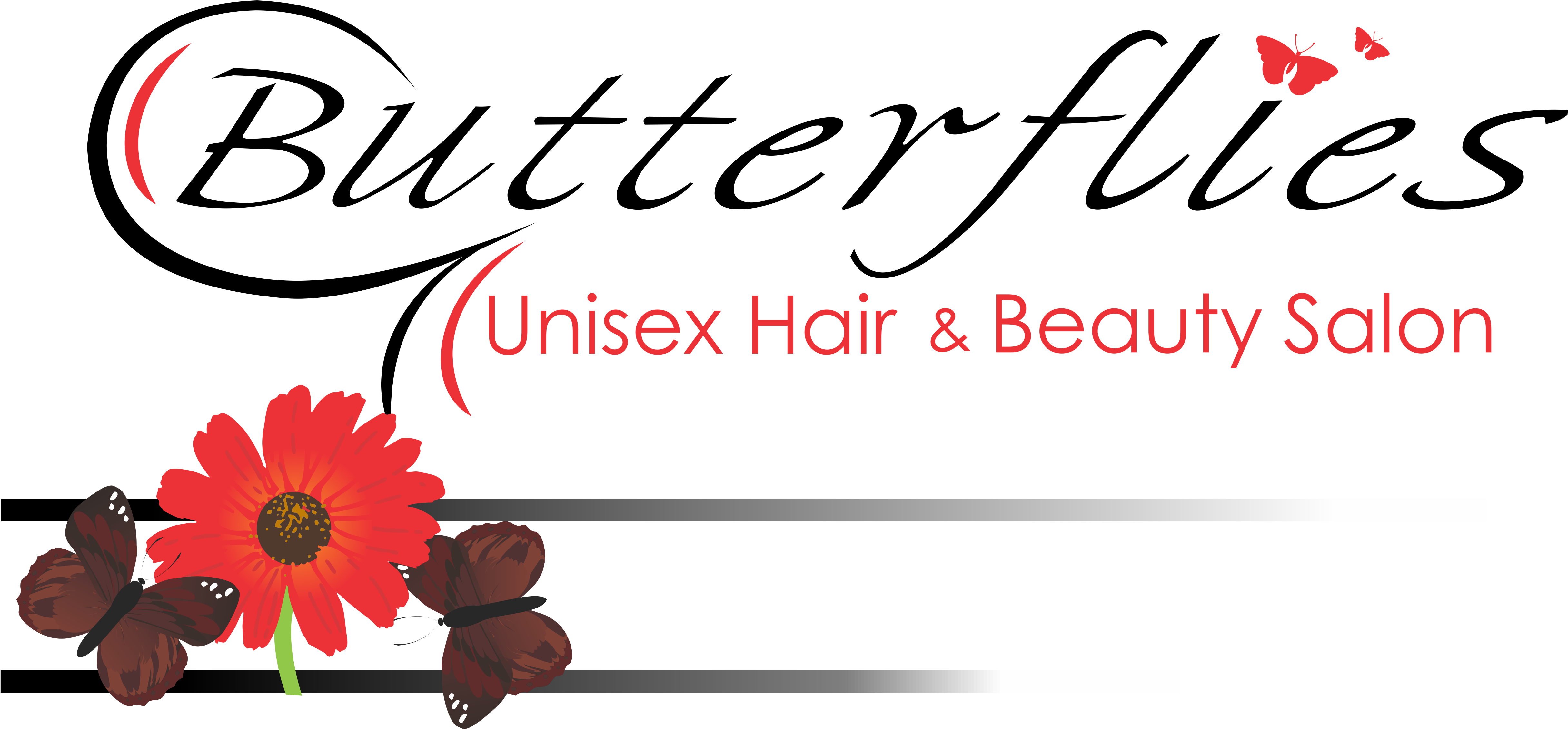 Barberton Daisy (5080x2261), Png Download