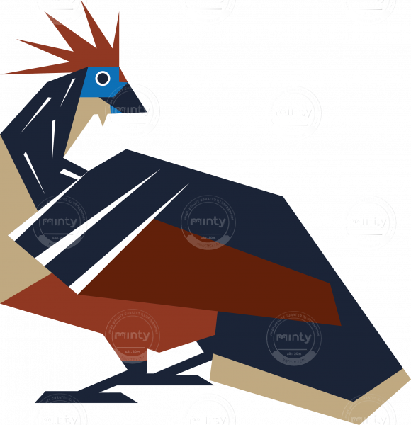 Feather Bird Hoatzin - Illustration (580x600), Png Download