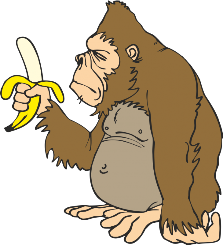 Gorilla Ape Banana Animation Clip Art - Cartoon Gorilla Eating Banana (730x801), Png Download