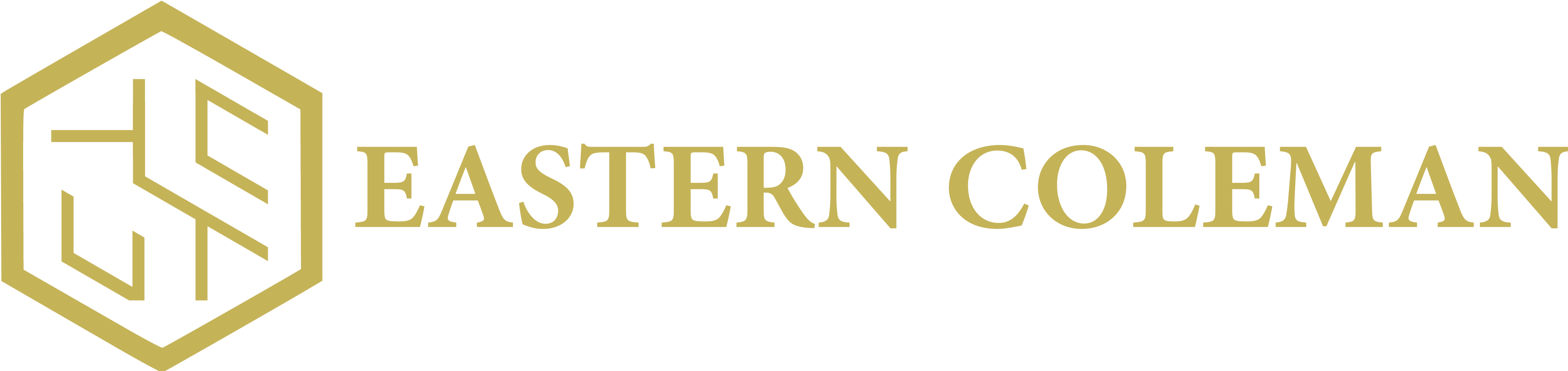 About Us - Mansion (4089x967), Png Download