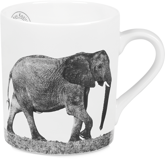 Trilogy - Coffee Cup (1000x1000), Png Download