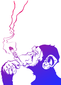Smoke Monkey - Monkey Smoke Png (674x518), Png Download