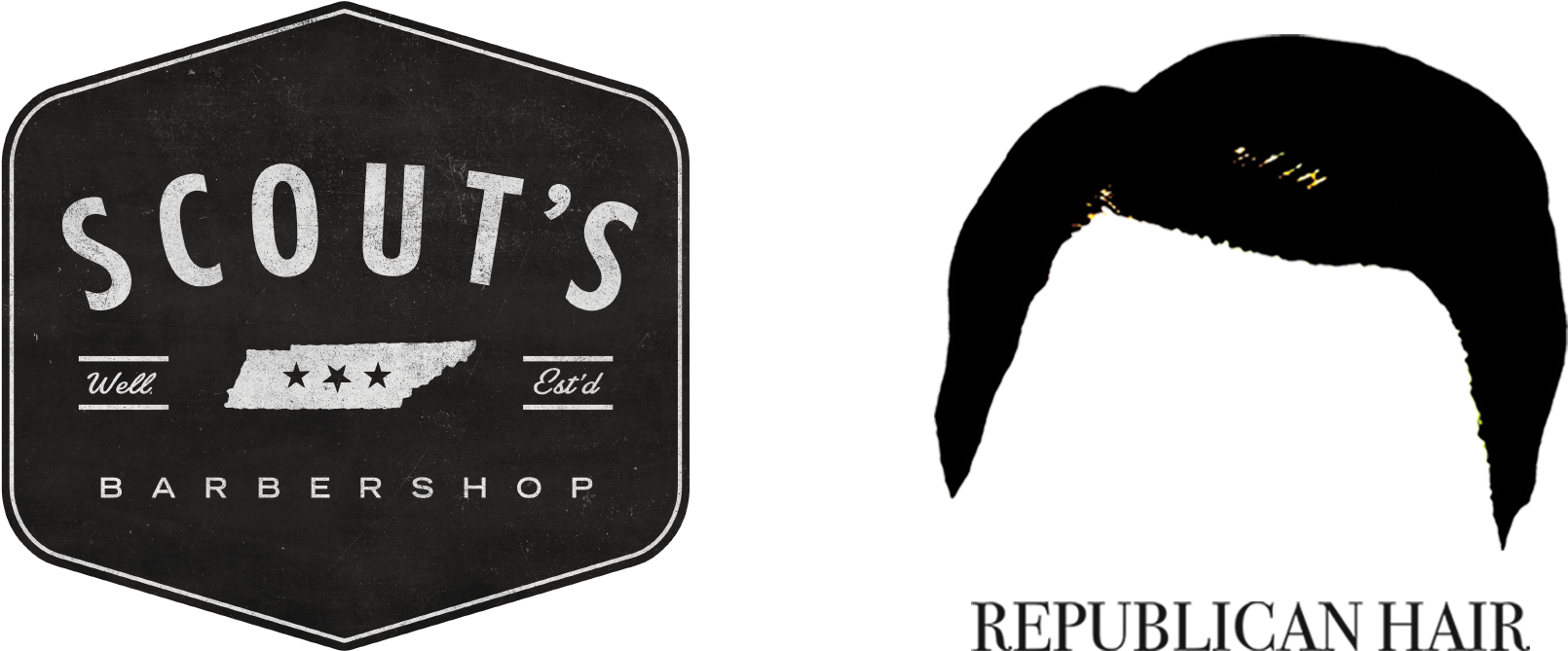 Haircuts For Humans - Bird (2400x977), Png Download