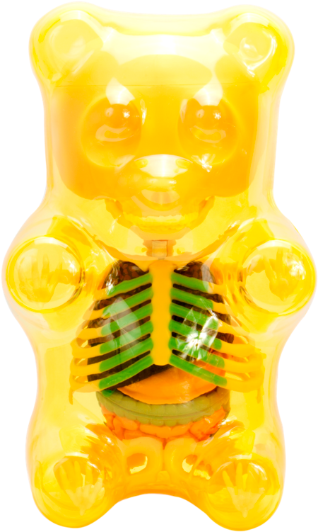 Mighty Jaxx Funny Anatomy Gummi Bear Collectible Figure - Teddy Bear (480x750), Png Download