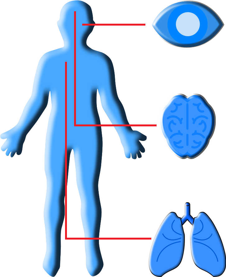 Dental Lab Applications (876x981), Png Download