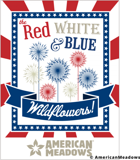 American Meadows (700x700), Png Download