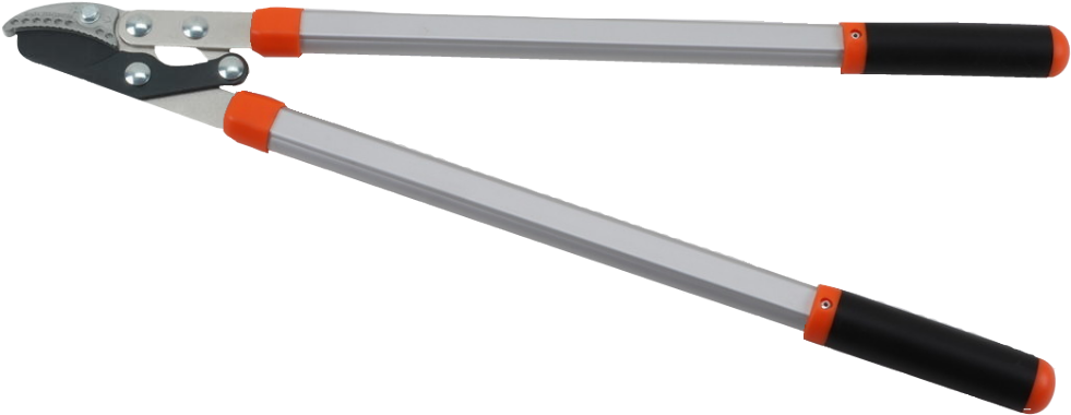 Taiwan Compound Anvil Lopping Shears, Tool, Shear / - Pruning Shears (1000x1000), Png Download