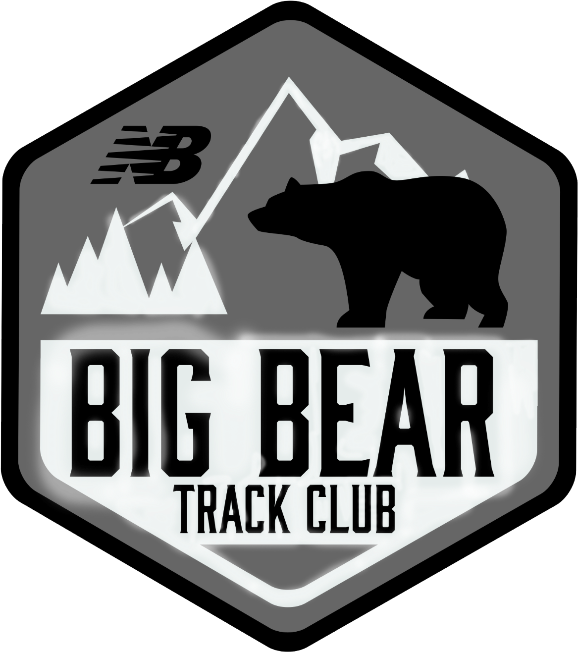 Grizzly Bear (1242x1395), Png Download