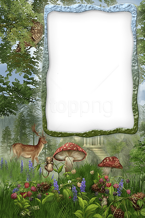 Free Png Best Stock Photos Transparent Forest Frame - Forest Frames (480x720), Png Download