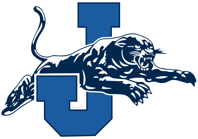 Jersey Cusd - Jerseyville Panthers Logo (800x562), Png Download