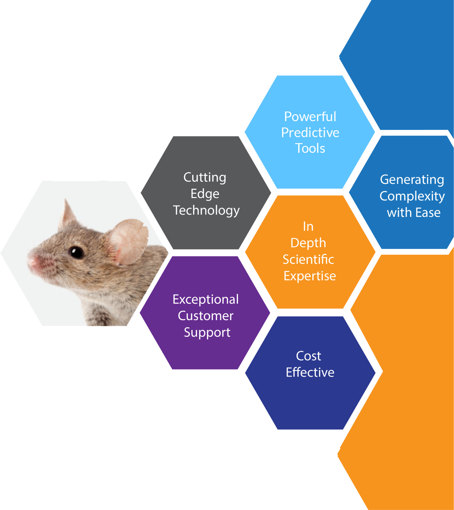 Mirimus Is Engaged In The Design, Development And Pioneering - Hobby Club (1507x1692), Png Download