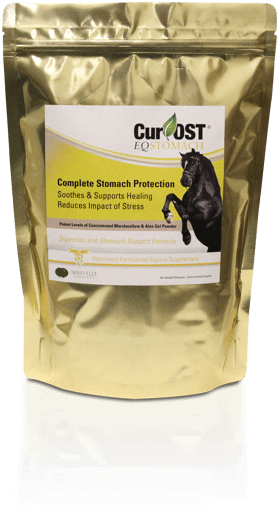 Cur-ost Eq Stomach - Kitten (500x656), Png Download