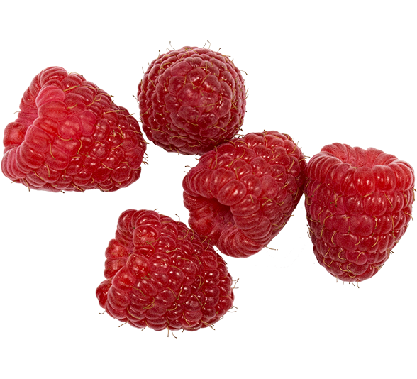 Organic Raspberries - Seedless Fruit (600x600), Png Download