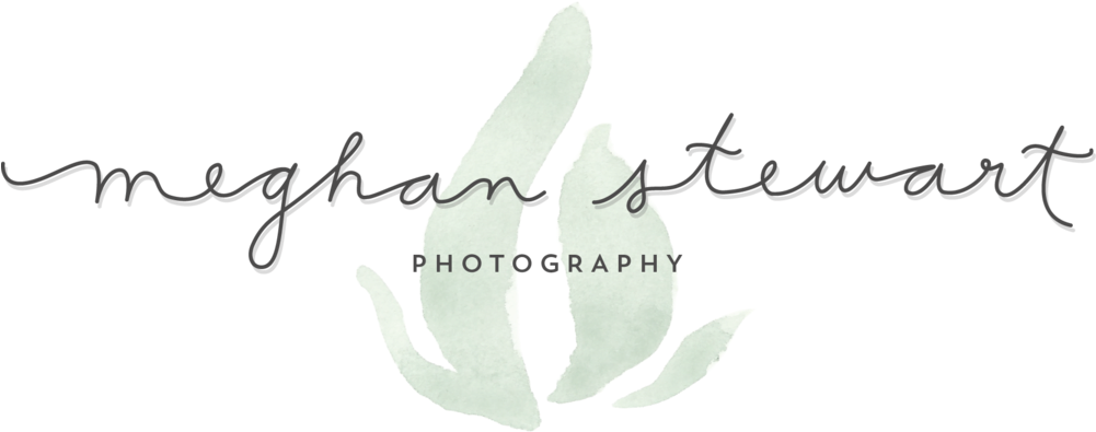 Meghan Stewart Photography - Calligraphy (1000x432), Png Download