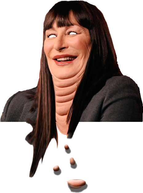 Anjelica Huston Transparent - Anjelica Huston 2013 (567x851), Png Download