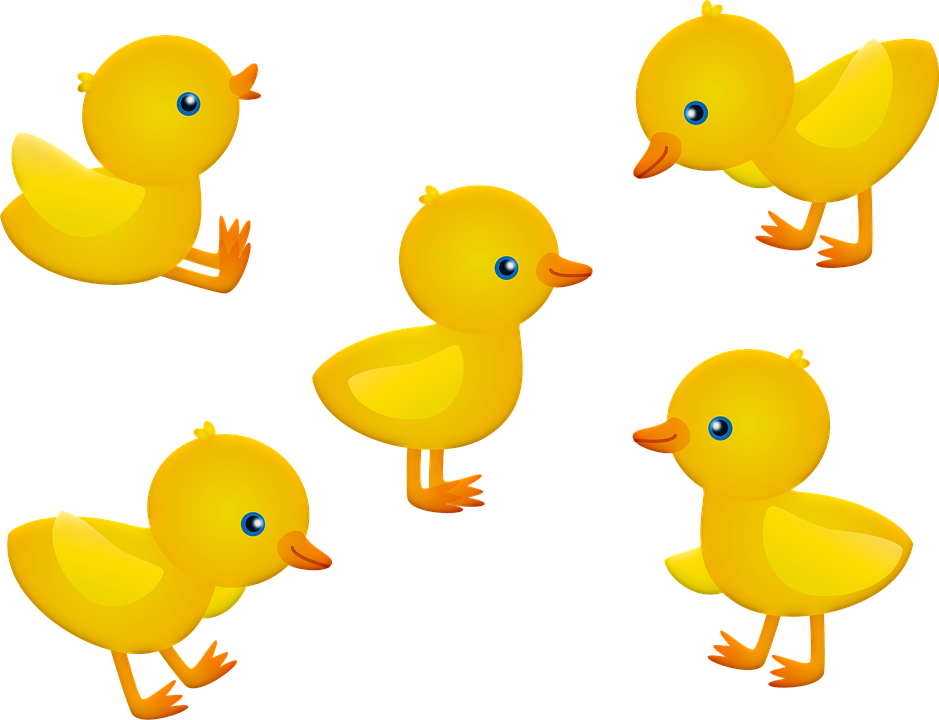 Baby Chick Png - Pintinhos Png (939x720), Png Download