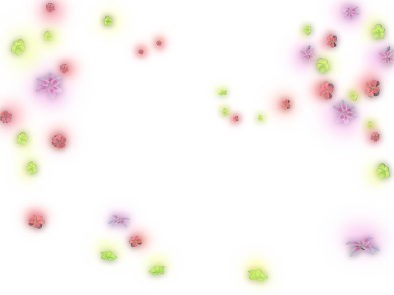 Glow Effect 3 - Flower (800x600), Png Download