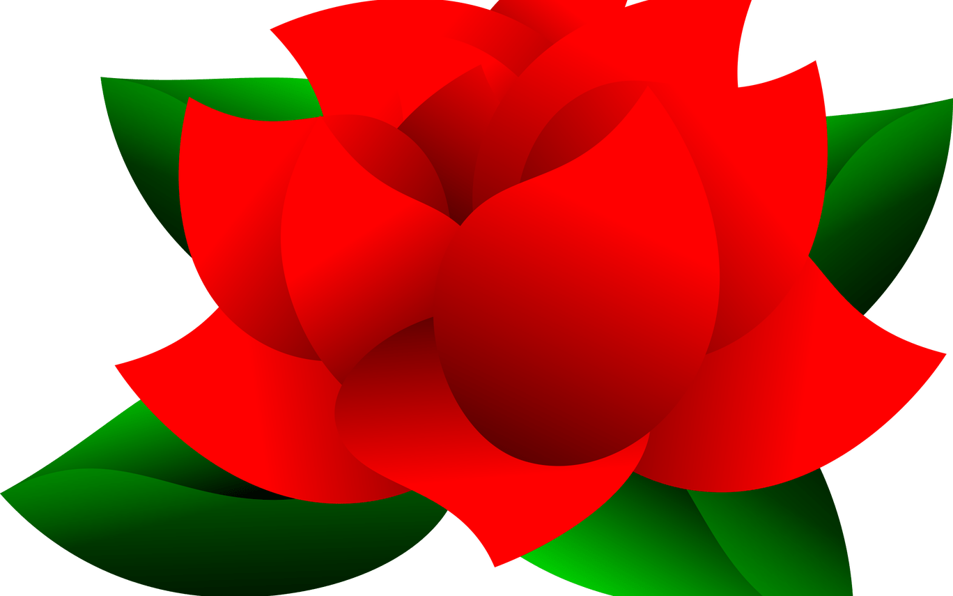 Insomniac Rose Vector Clipart Image Free Stock Photo - Sprenger's Tulip (1368x855), Png Download
